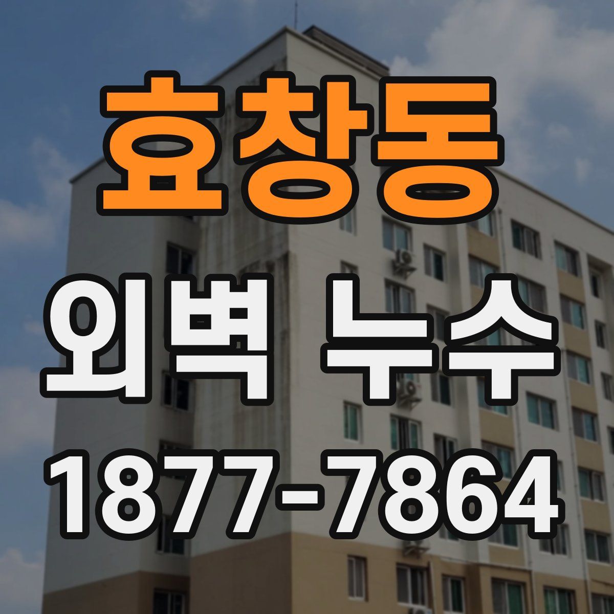 효창동 외벽 누수