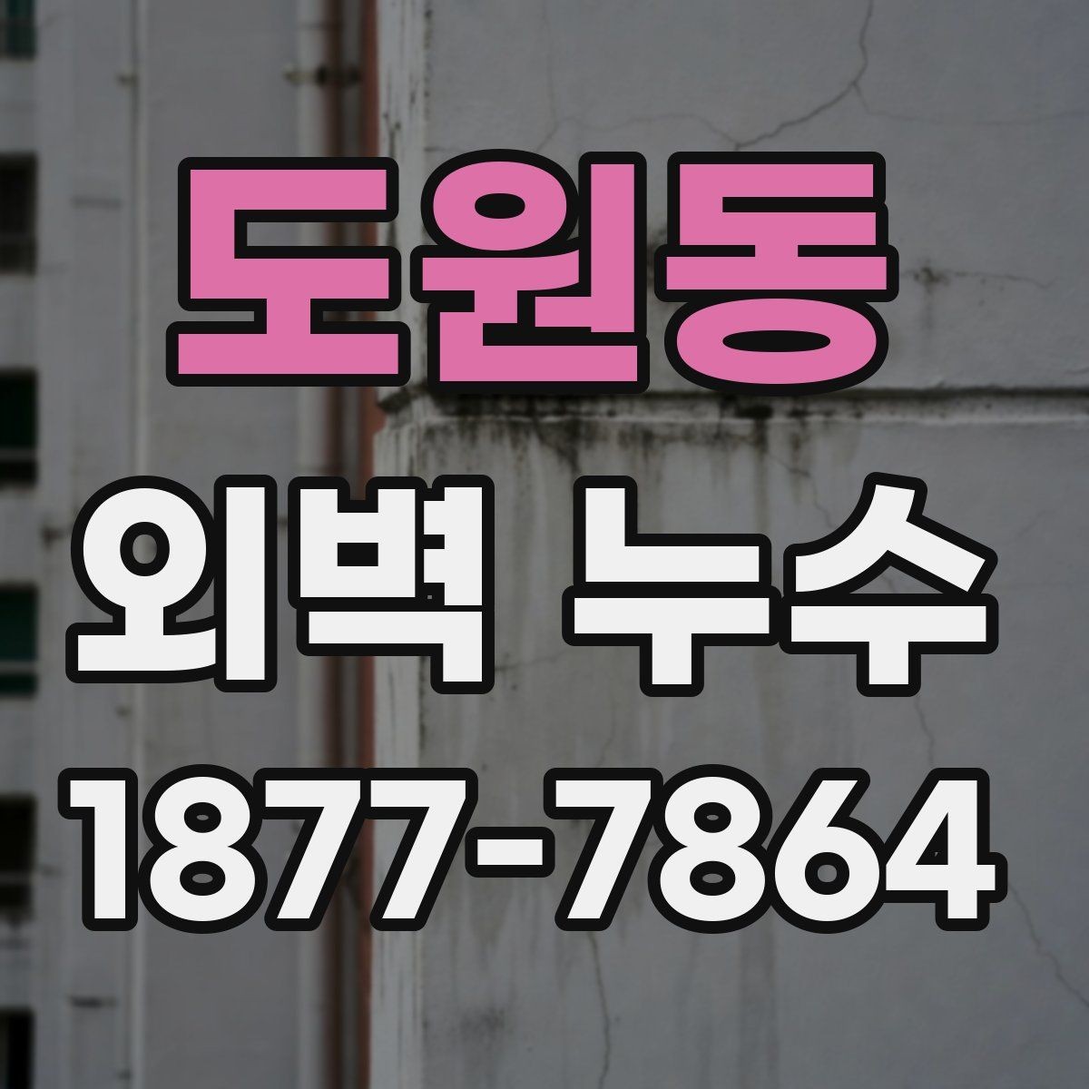 도원동 외벽 누수 의심 사진으로 살펴보는 징후