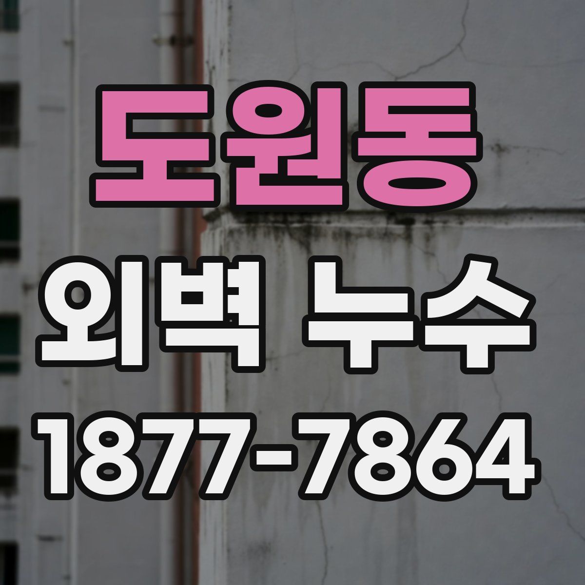 도원동 외벽 누수