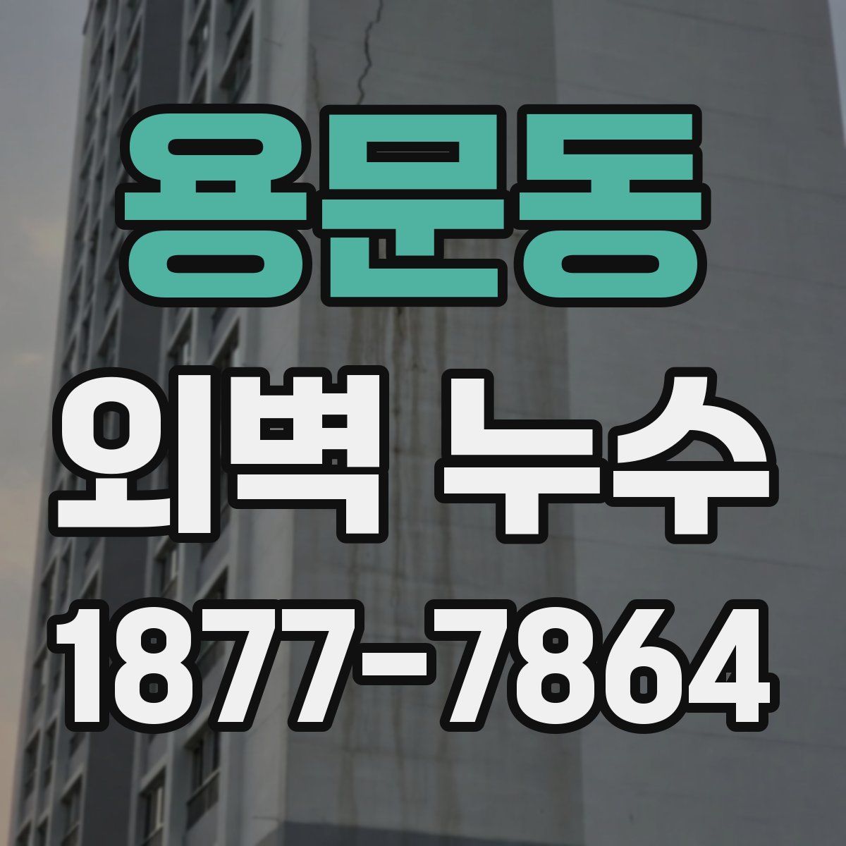 용문동 외벽 누수