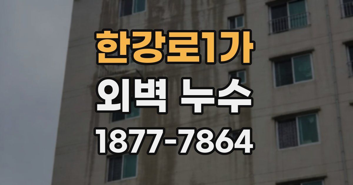 한강로1가 외벽 누수