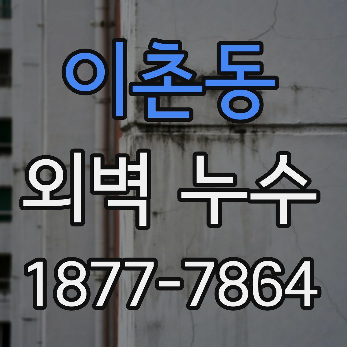 이촌동 외벽 누수
