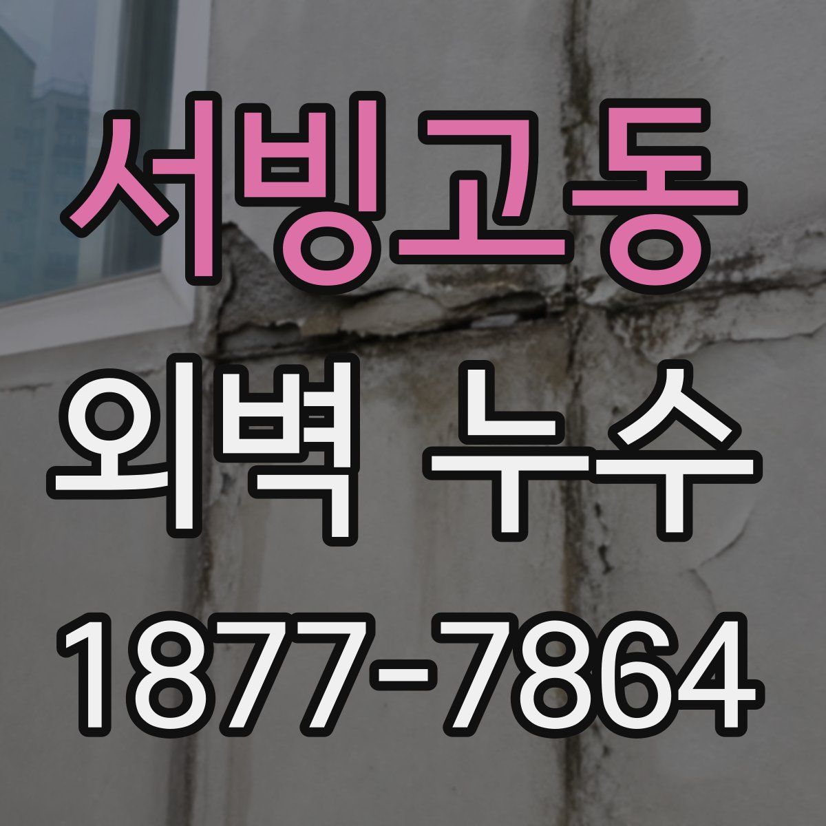 서빙고동 외벽 누수