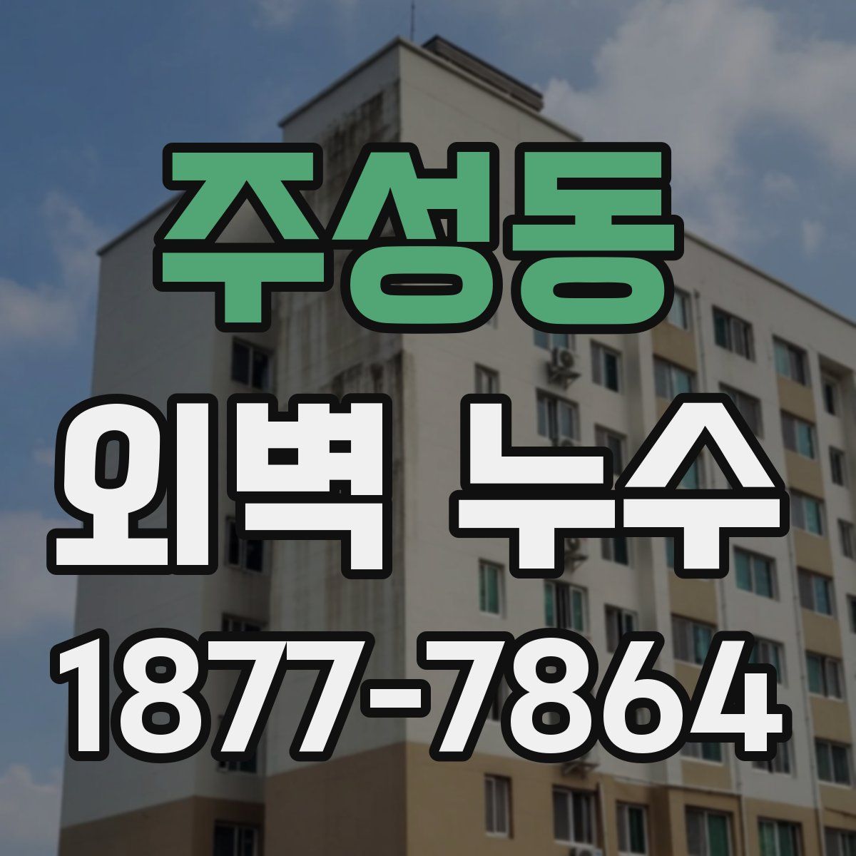 주성동 외벽 누수