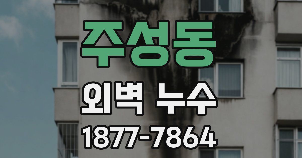 주성동 외벽 누수
