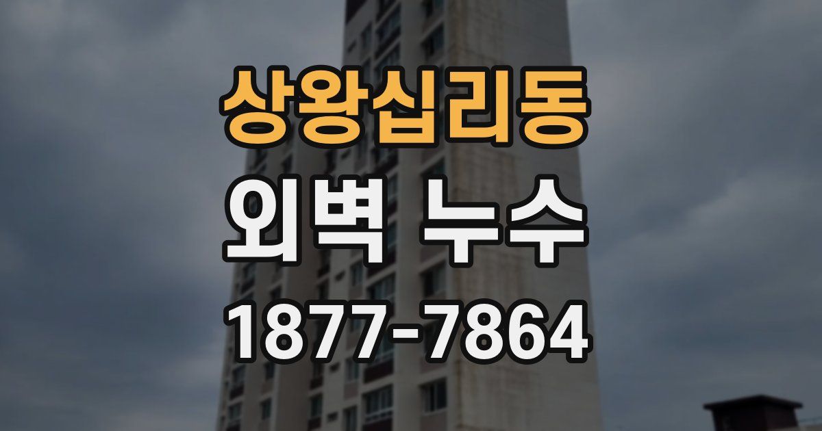상왕십리동 외벽 누수