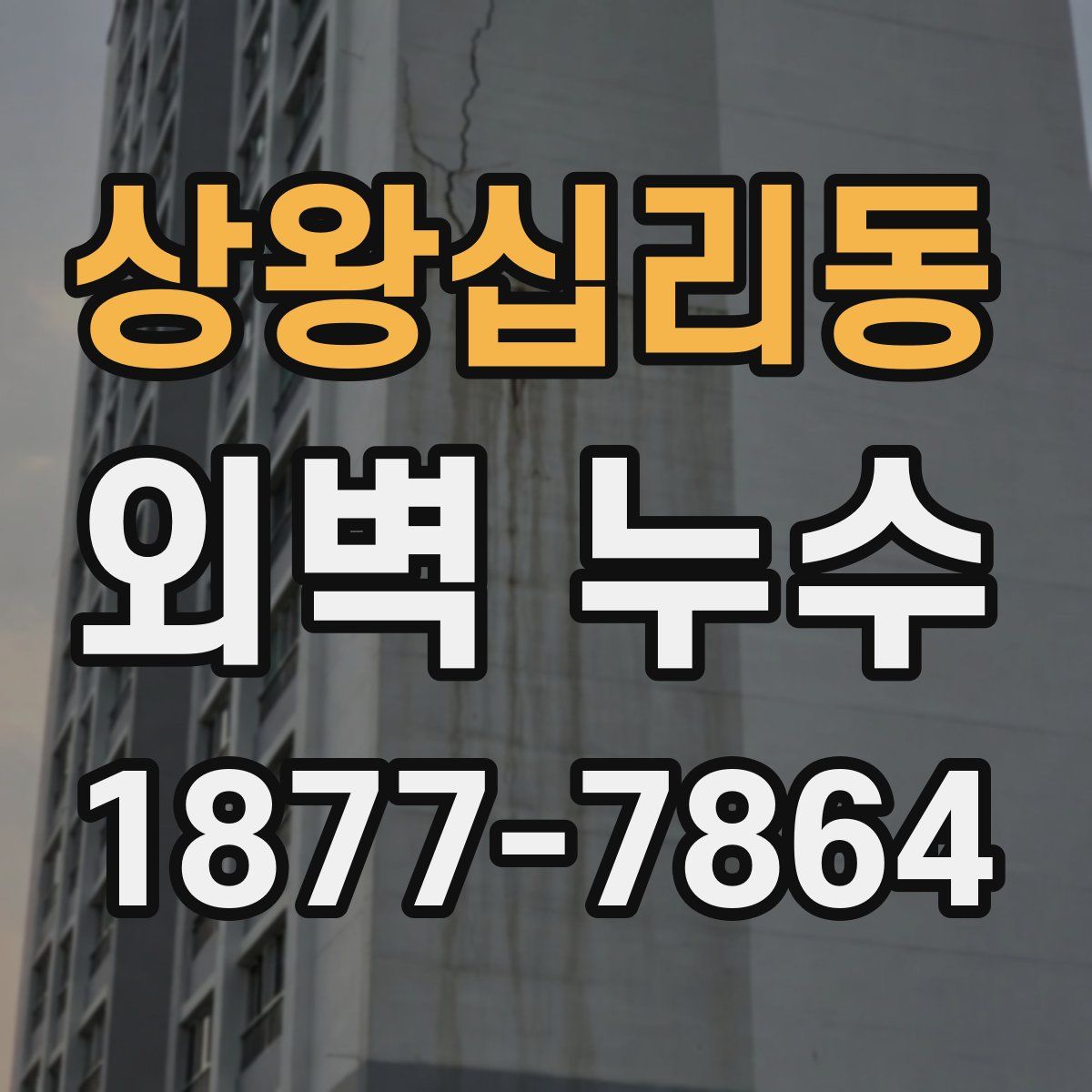 상왕십리동 외벽 누수