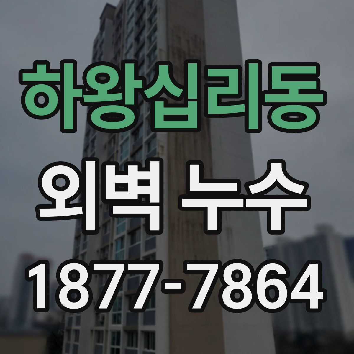 하왕십리동 외벽 누수
