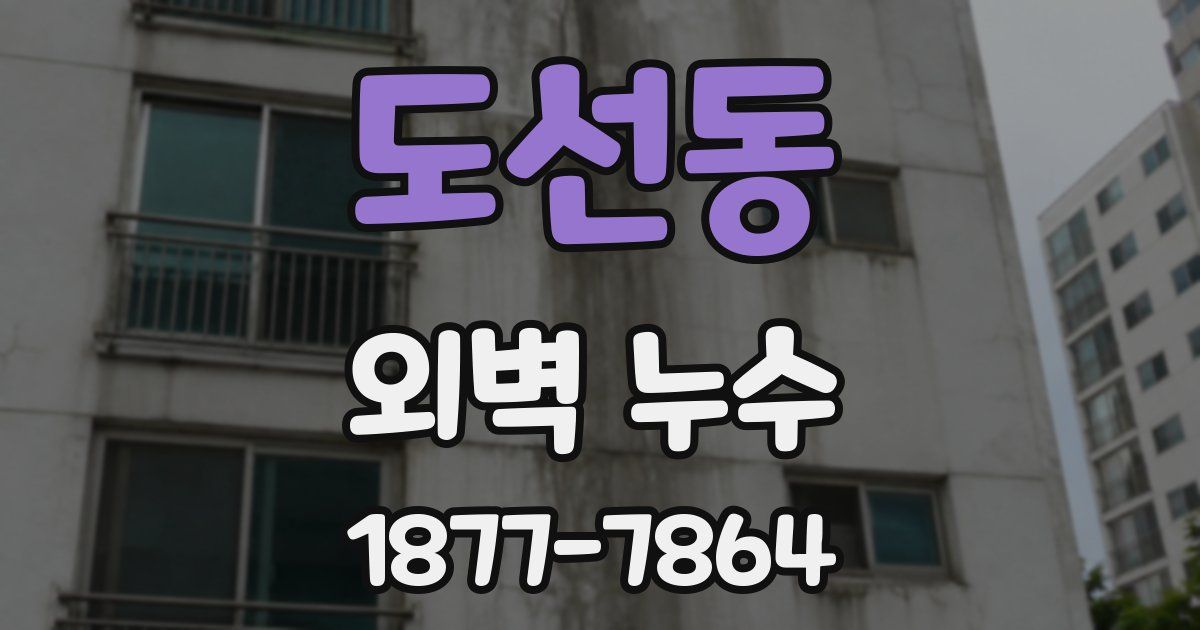 도선동 외벽 누수