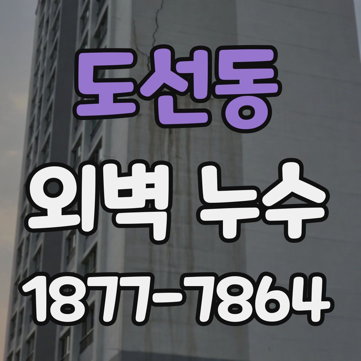 도선동 외벽 누수