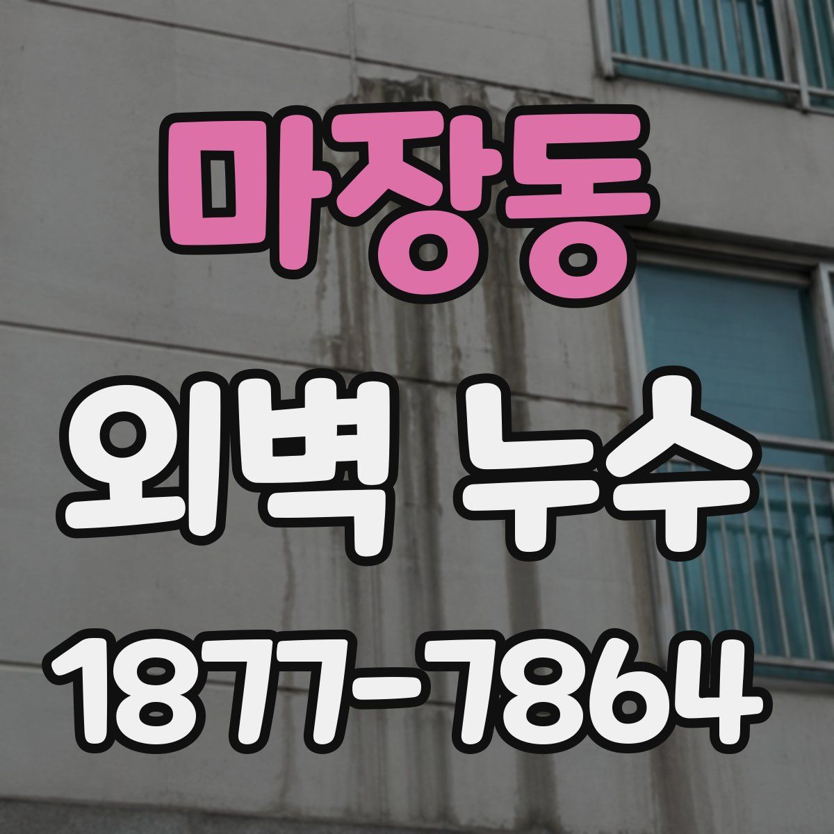 마장동 외벽 누수