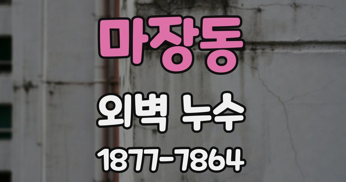 마장동 외벽 누수