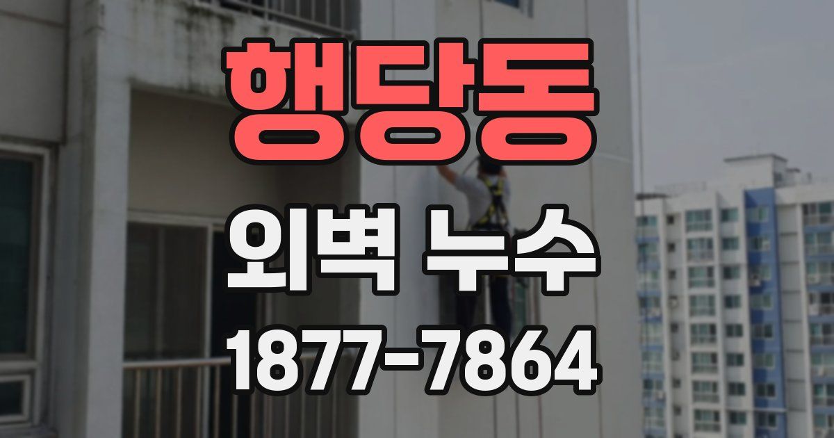 행당동 외벽 누수