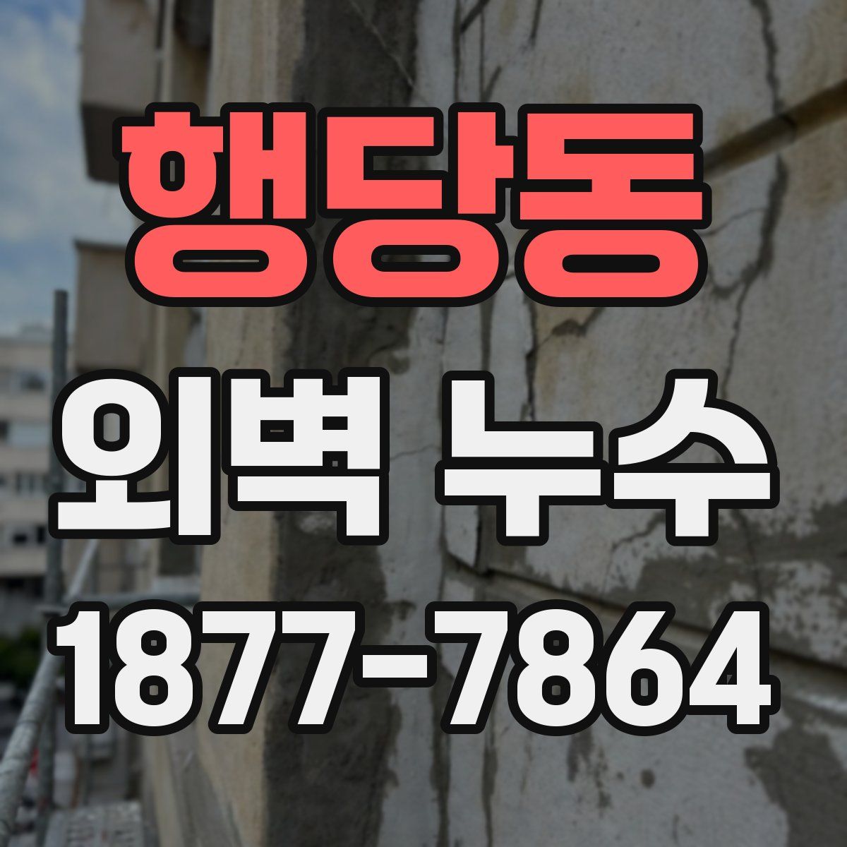 행당동 외벽 누수