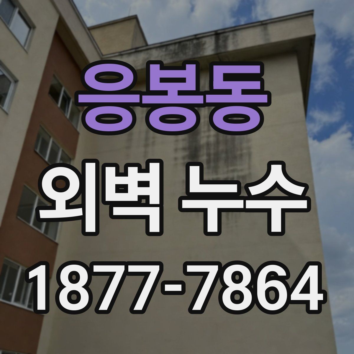 응봉동 외벽 누수 보수 후 하자 확인 체크포인트