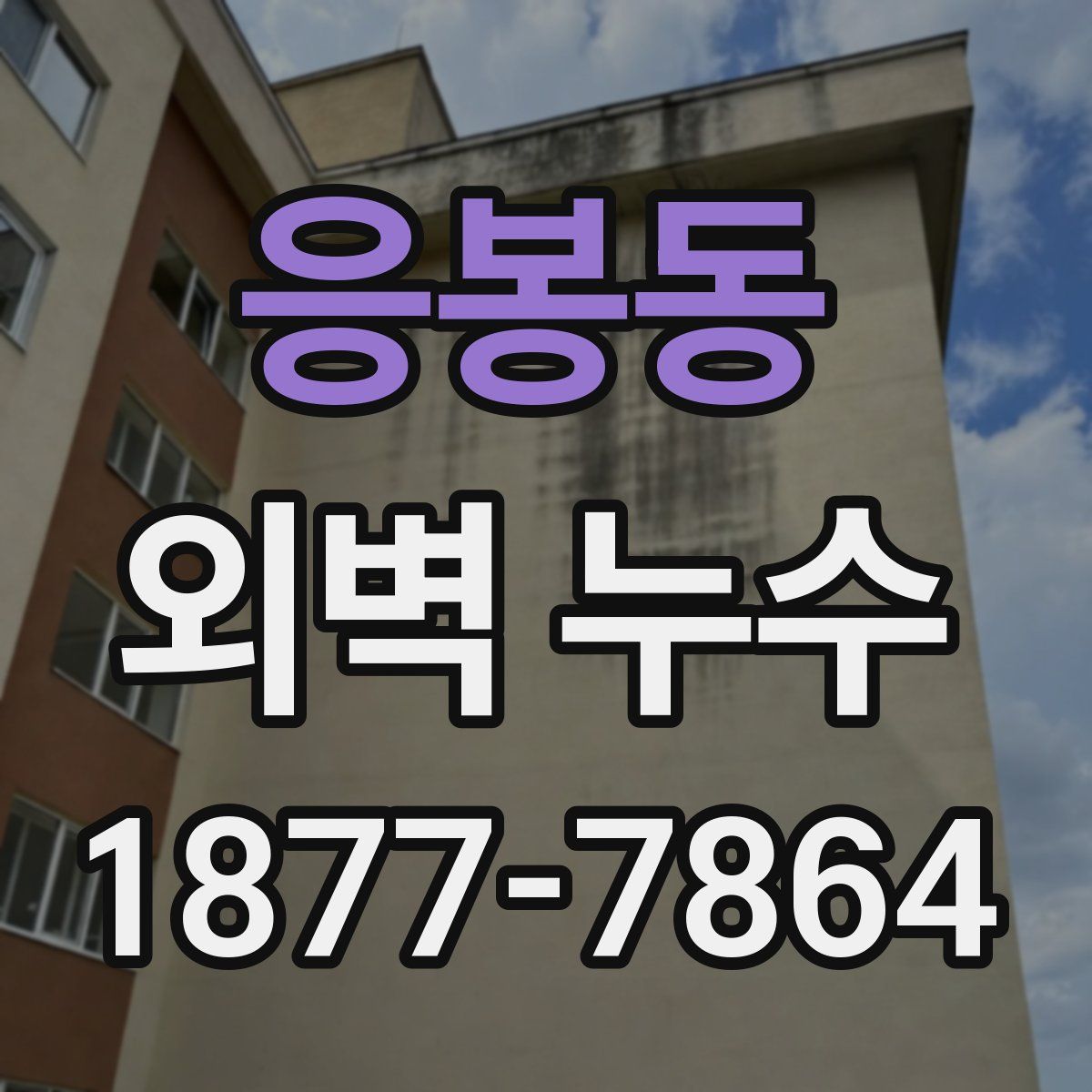 응봉동 외벽 누수