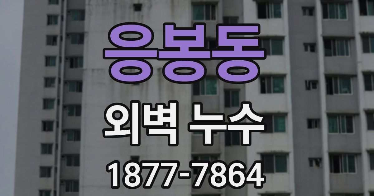 응봉동 외벽 누수