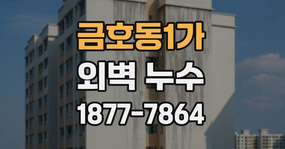 금호동1가 외벽 누수