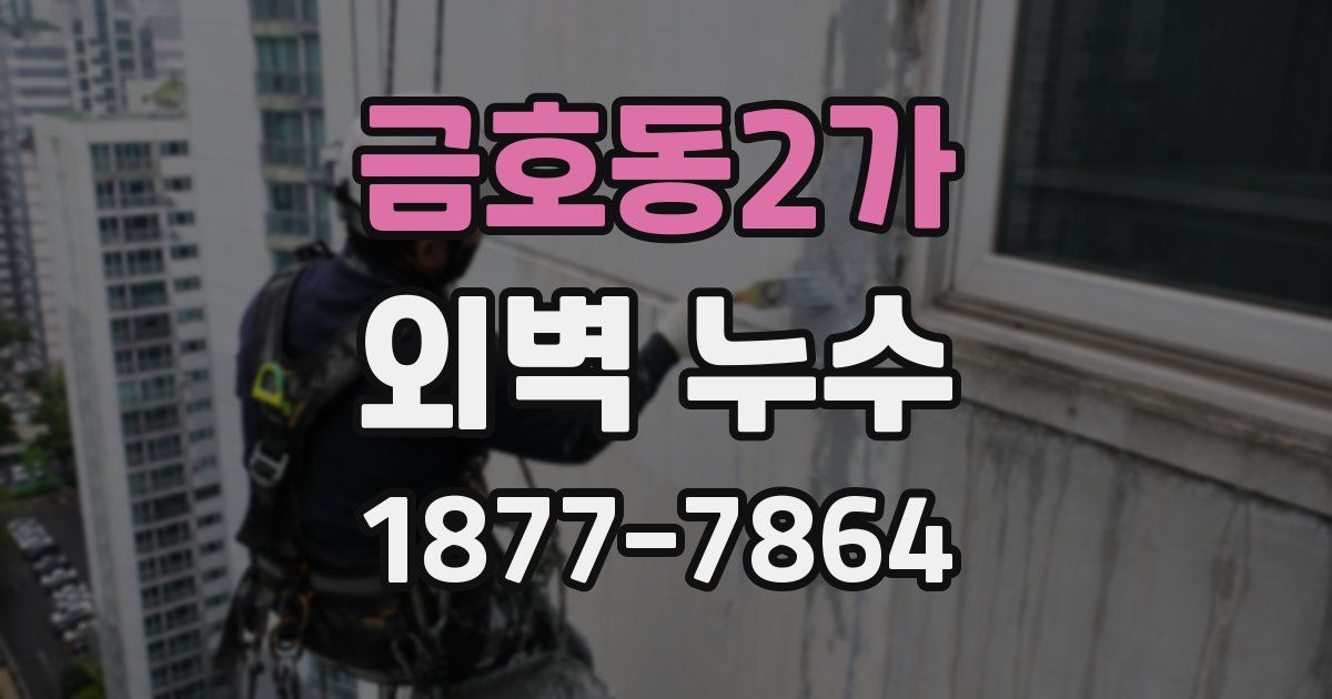 금호동2가 외벽 누수