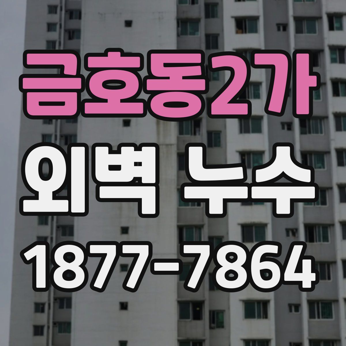 금호동2가 외벽 누수