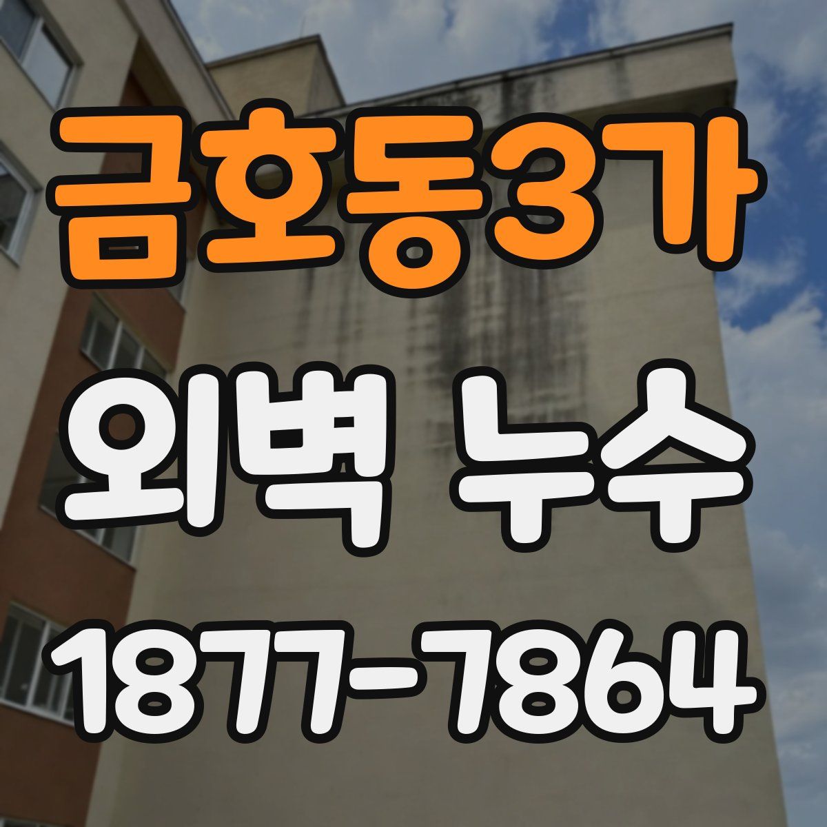금호동3가 외벽 누수