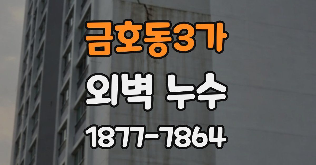 금호동3가 외벽 누수