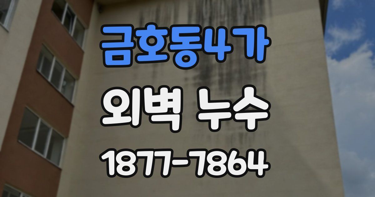금호동4가 외벽 누수