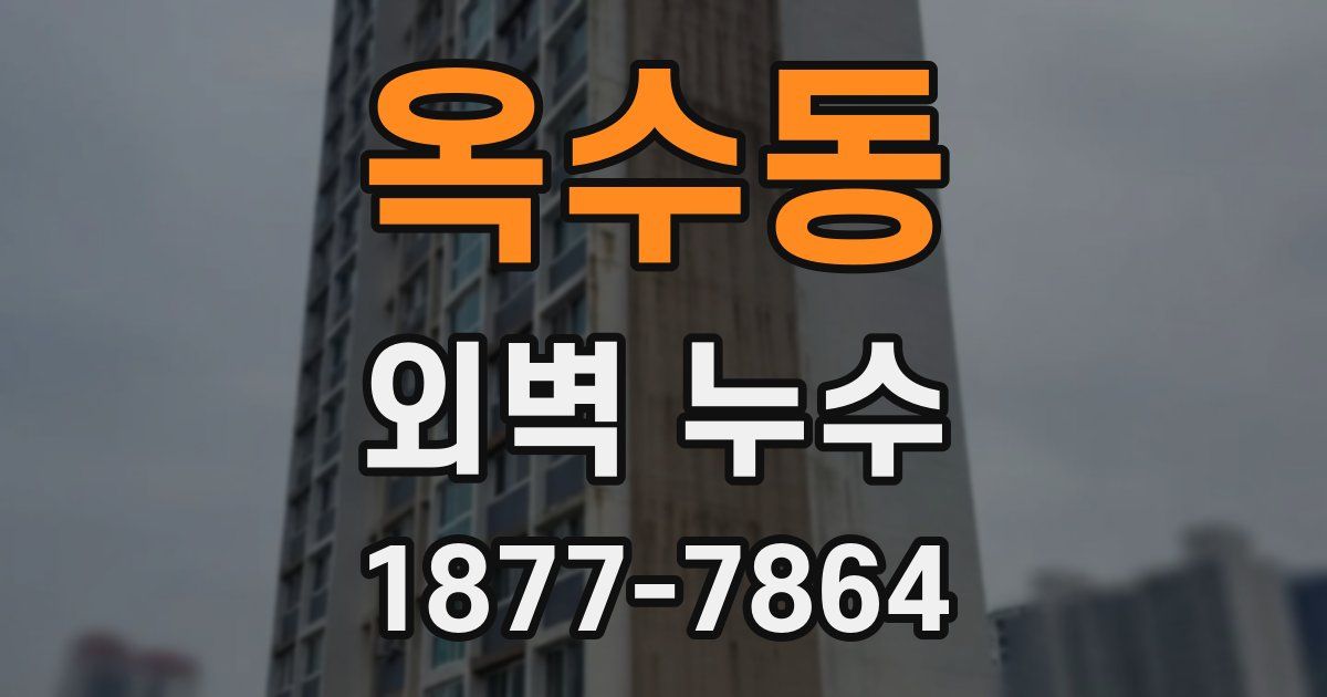 옥수동 외벽 누수
