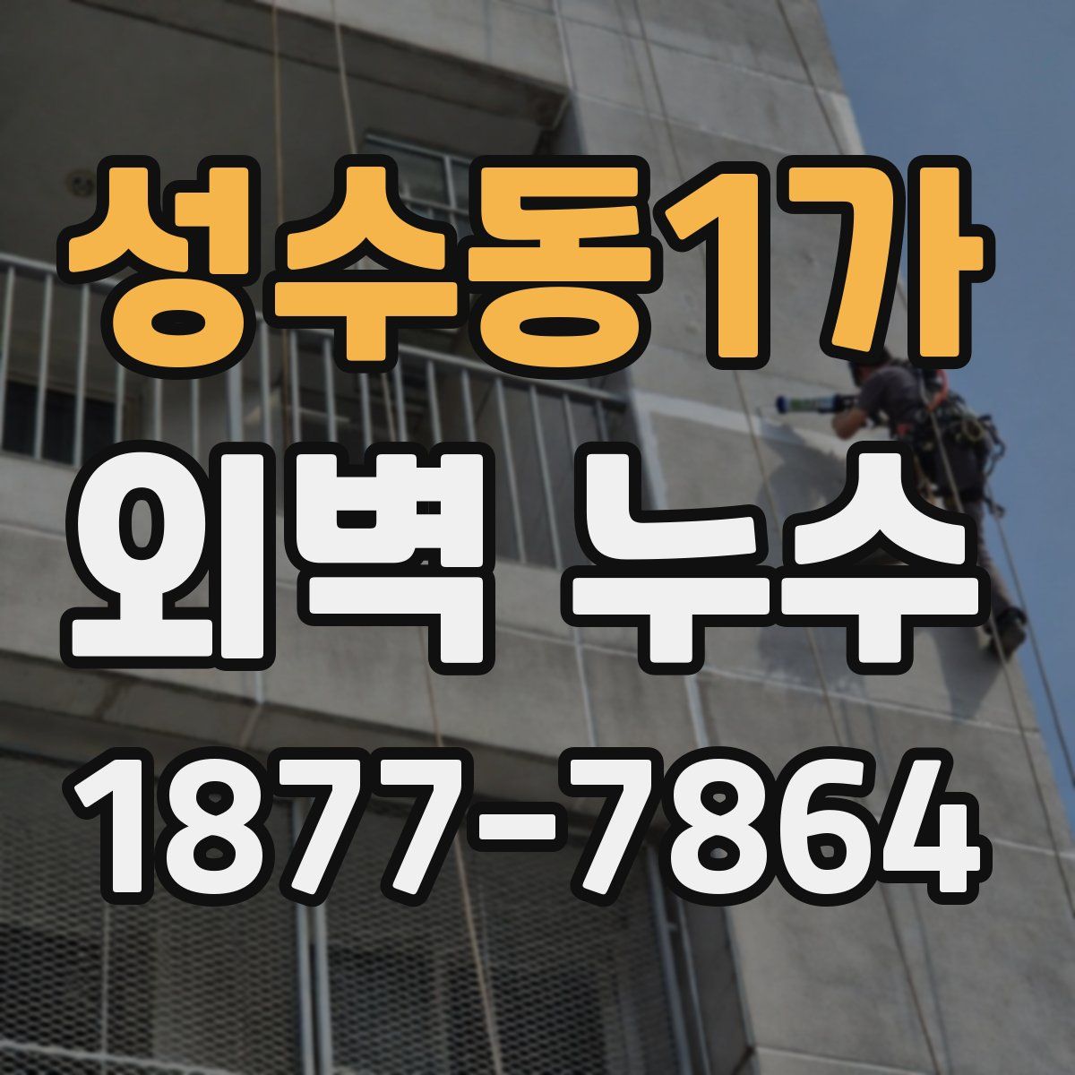 성수동1가 외벽 누수