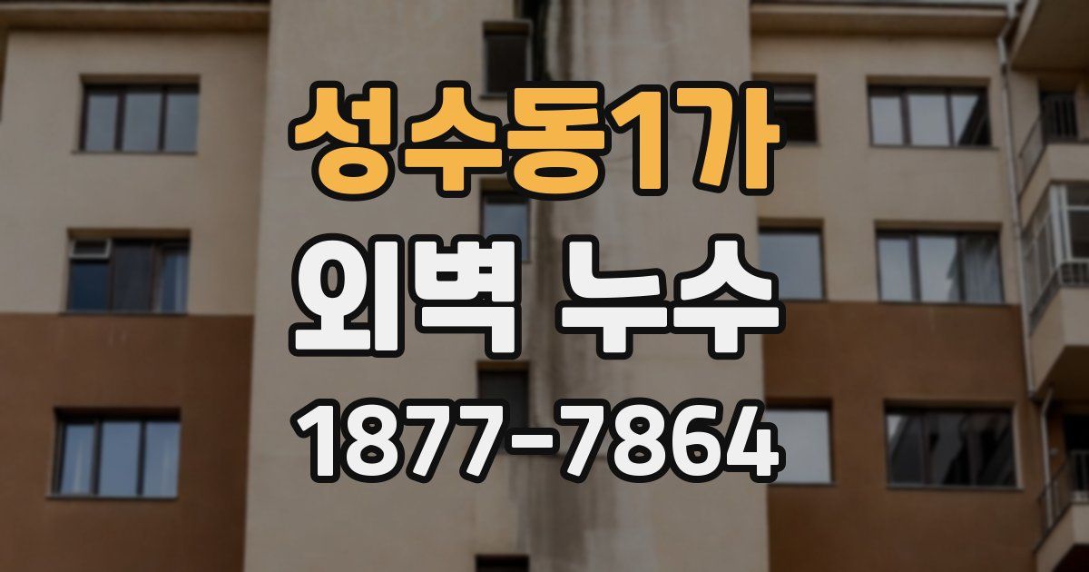 성수동1가 외벽 누수