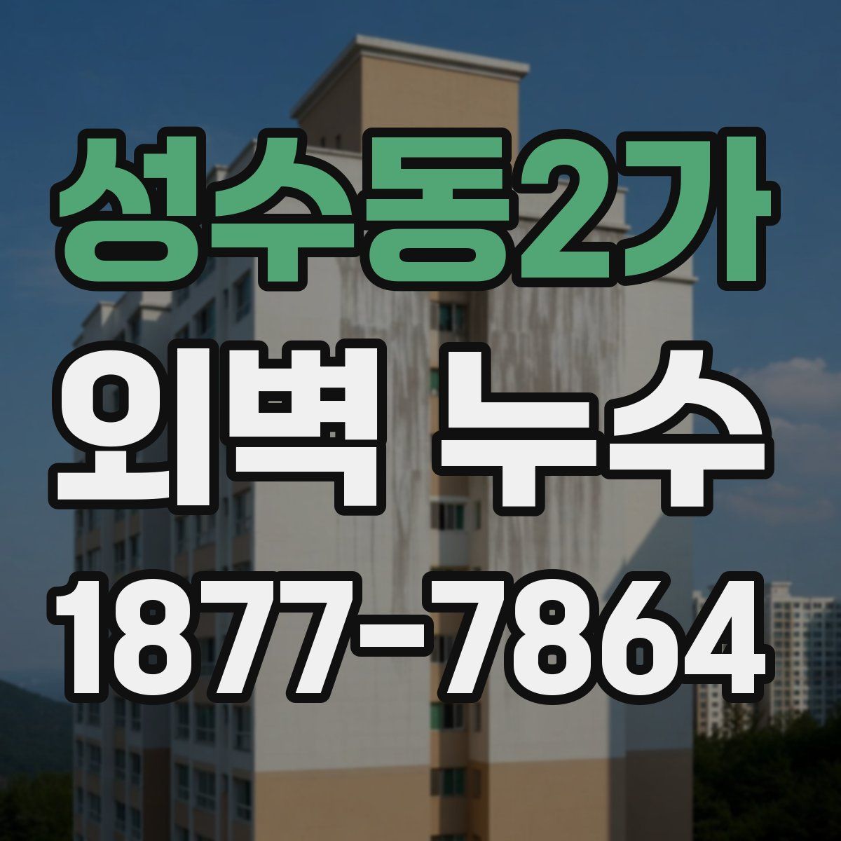 성수동2가 외벽 누수