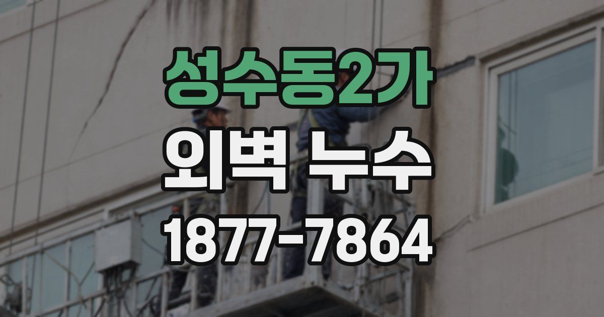 성수동2가 외벽 누수