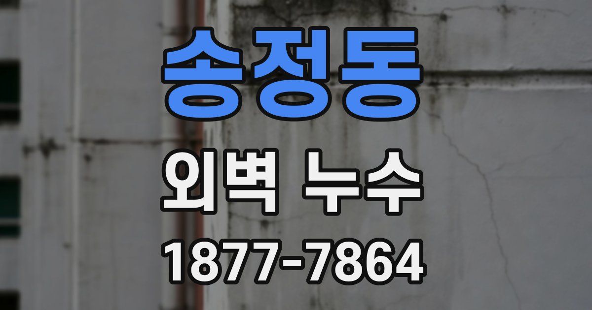 송정동 외벽 누수
