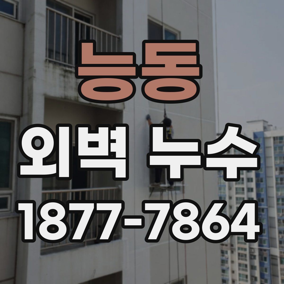 능동 외벽 누수 의심 시 셀프 점검 방법