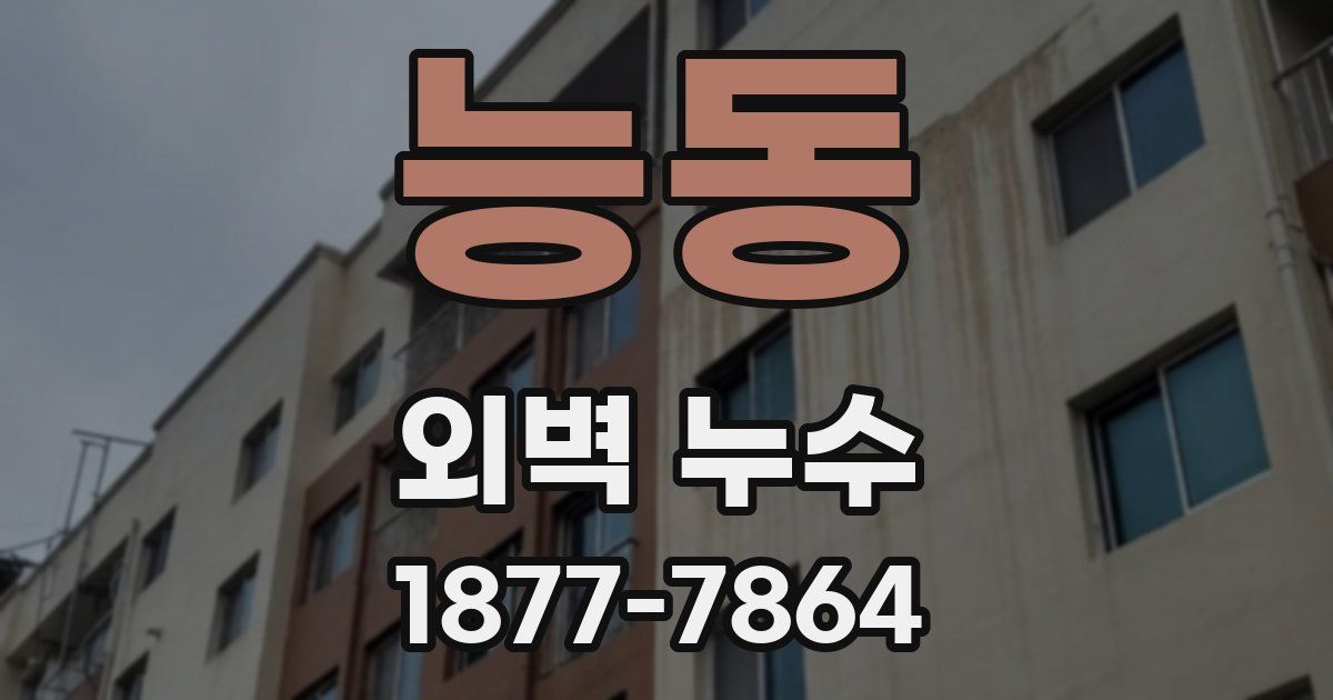능동 외벽 누수