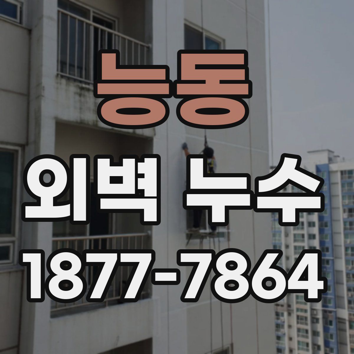 능동 외벽 누수