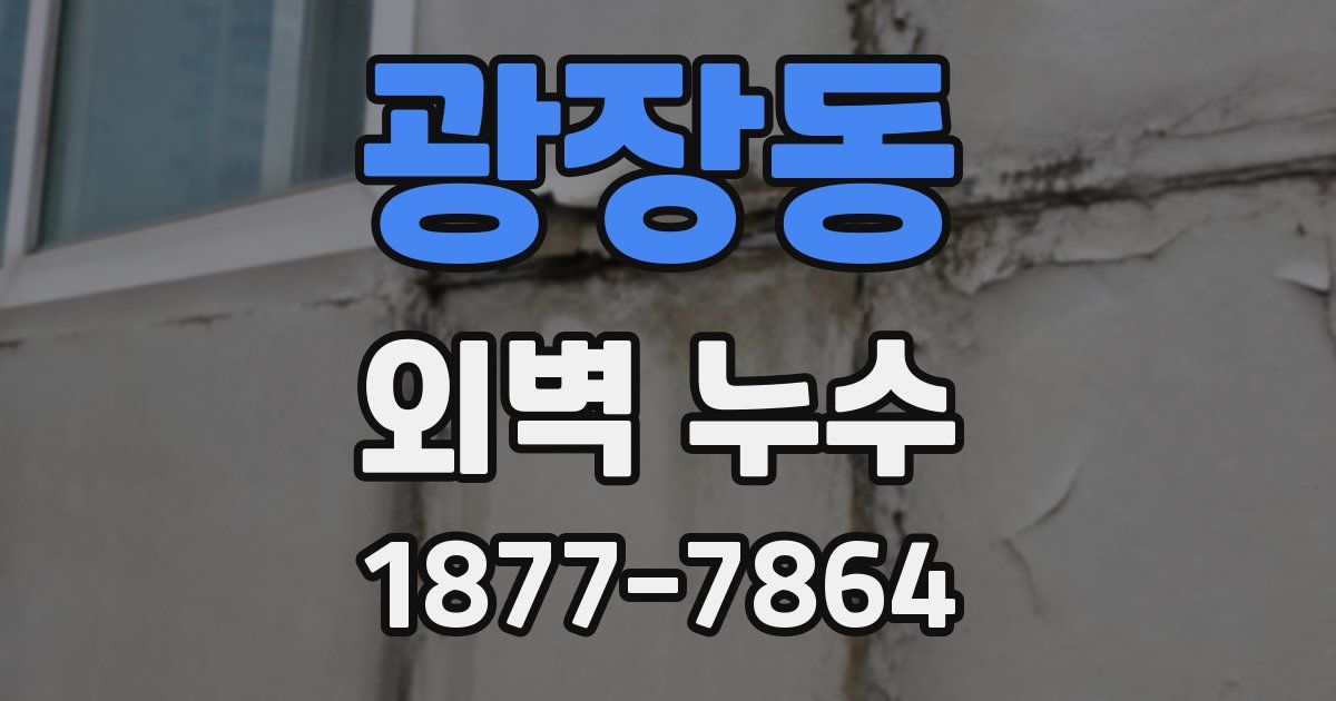 광장동 외벽 누수