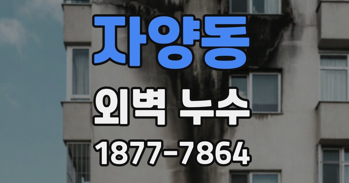 자양동 외벽 누수