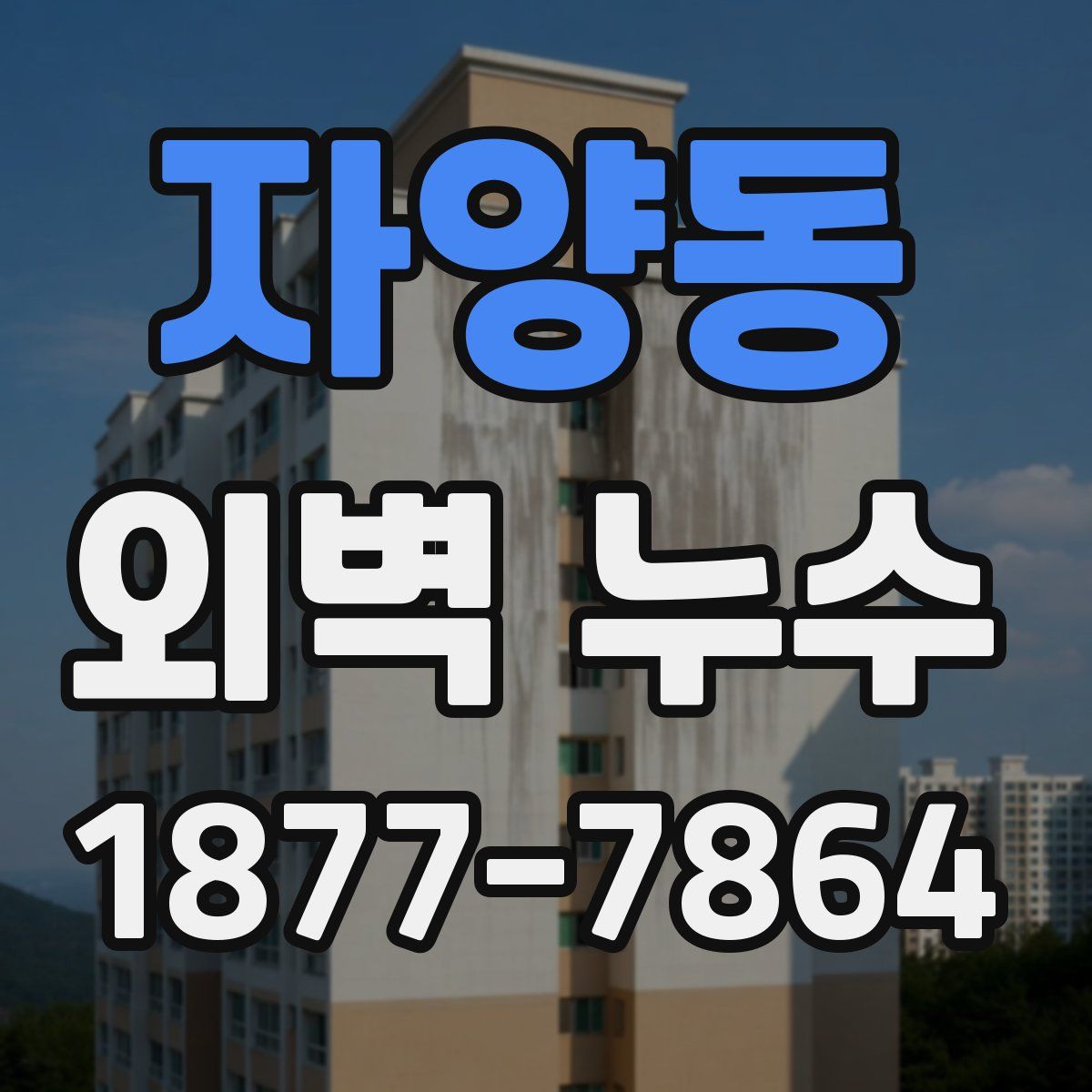 자양동 외벽 누수