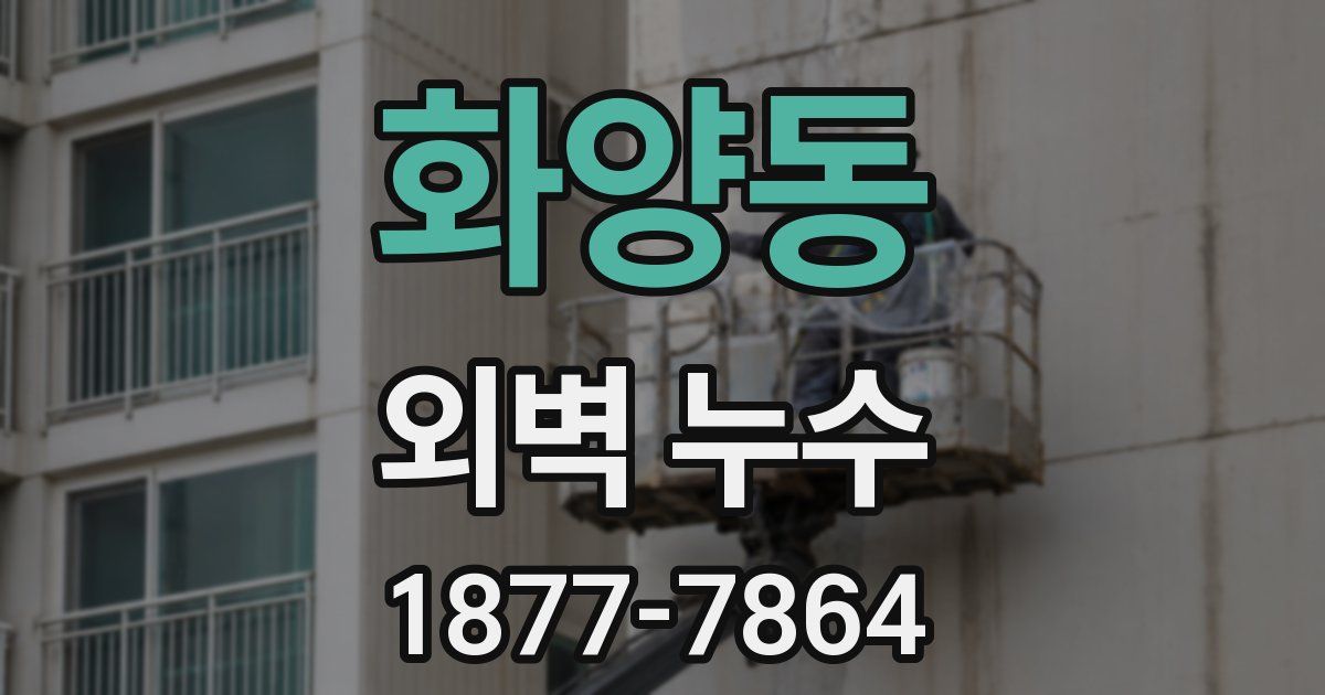 화양동 외벽 누수