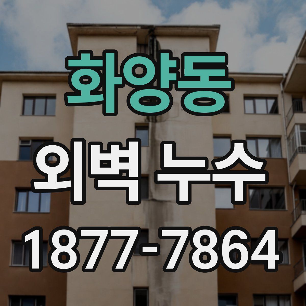 화양동 외벽 누수