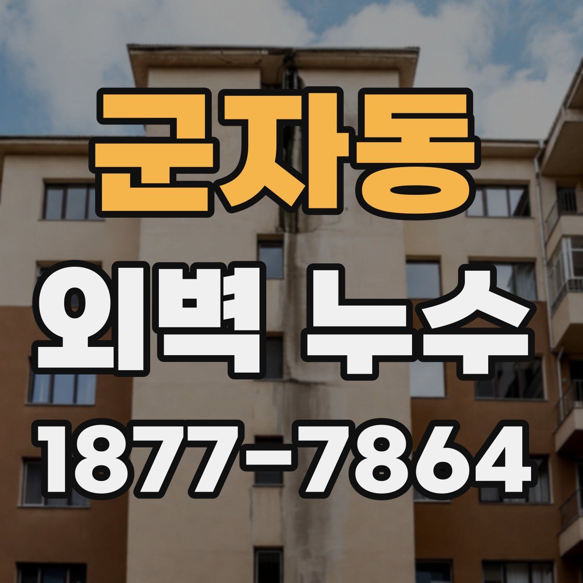 군자동 외벽 누수