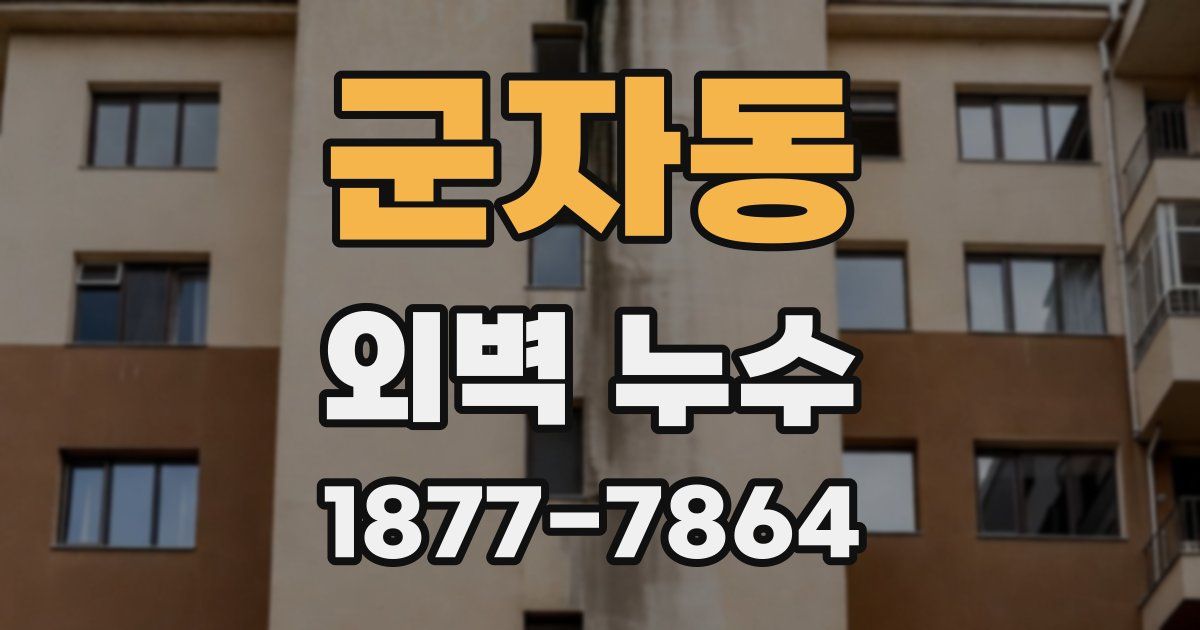군자동 외벽 누수