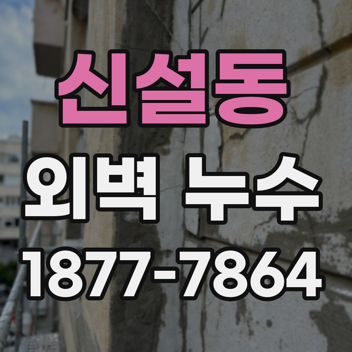 신설동 외벽 누수
