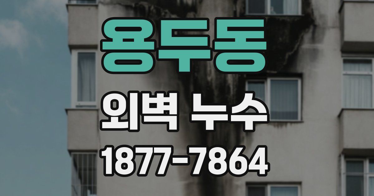 용두동 외벽 누수