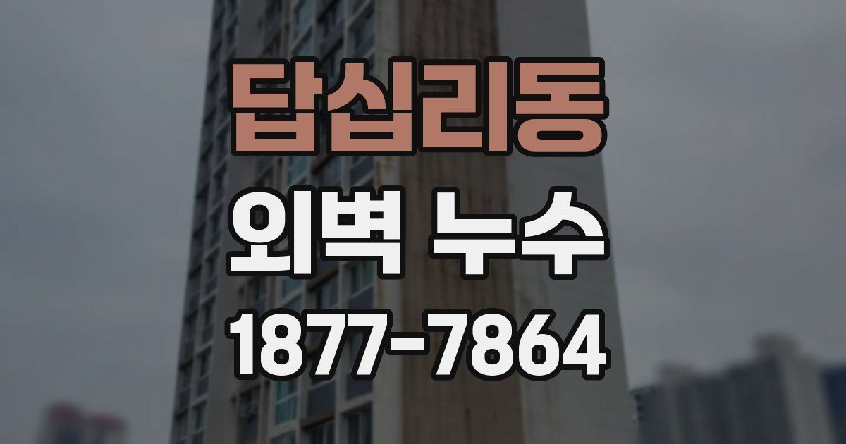 답십리동 외벽 누수