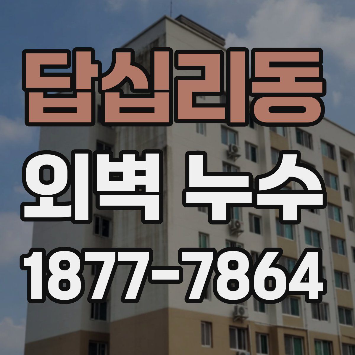 답십리동 외벽 누수