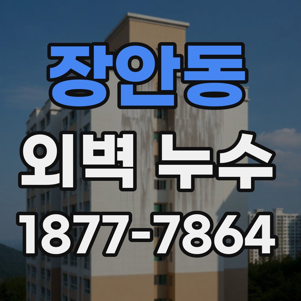 장안동 외벽 누수