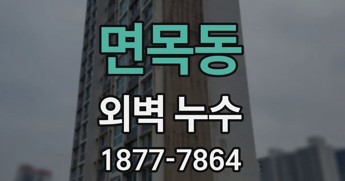 면목동 외벽 누수