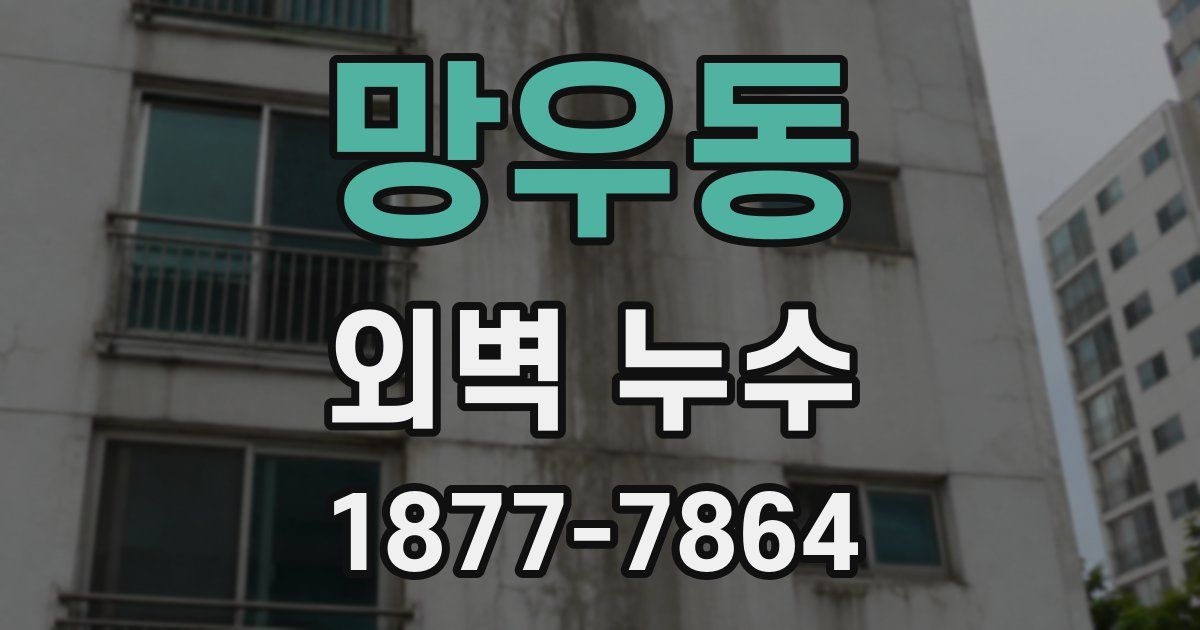 망우동 외벽 누수